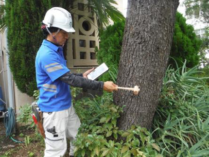 緊急時の安全対策